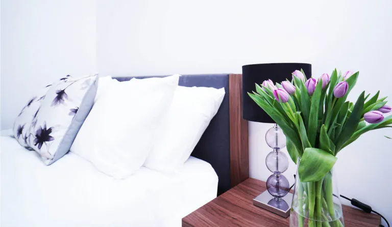 Chambre avec linge hôtelier, conciergerie Check-in Riviera